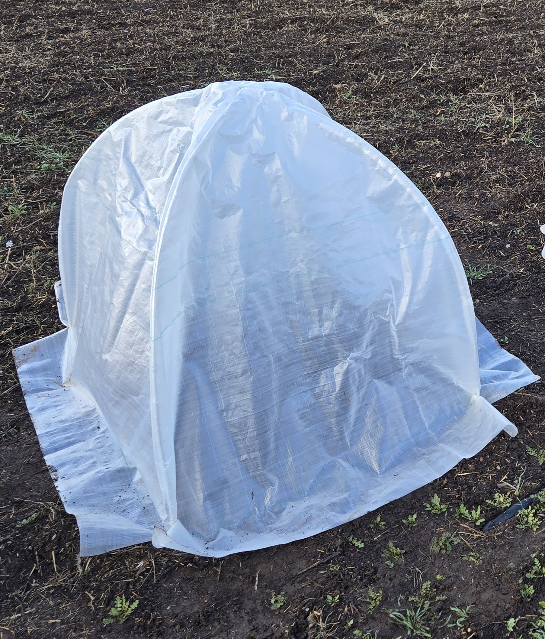 Large Heat Dome