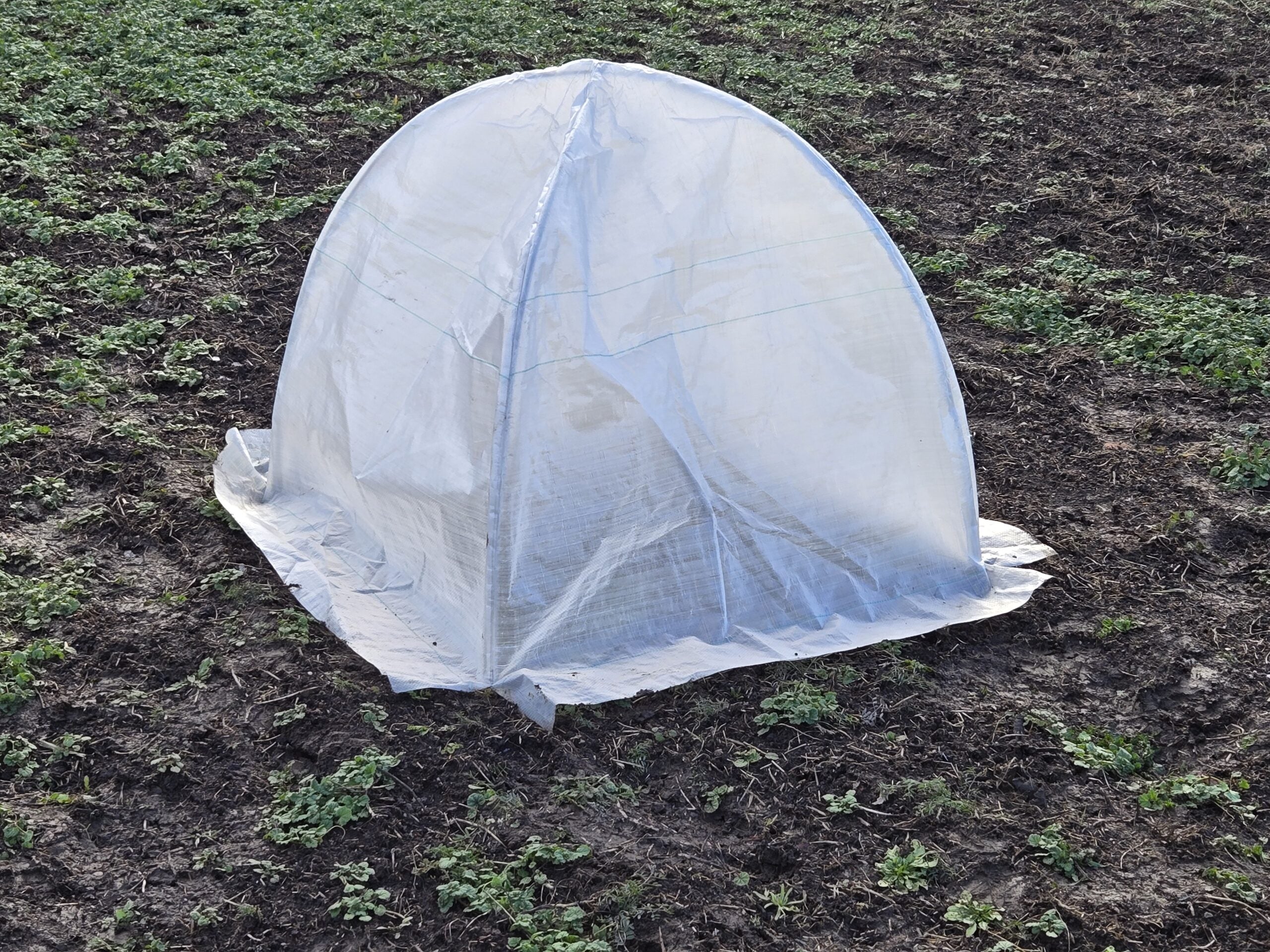 Medium Heat Dome (3 per pack)