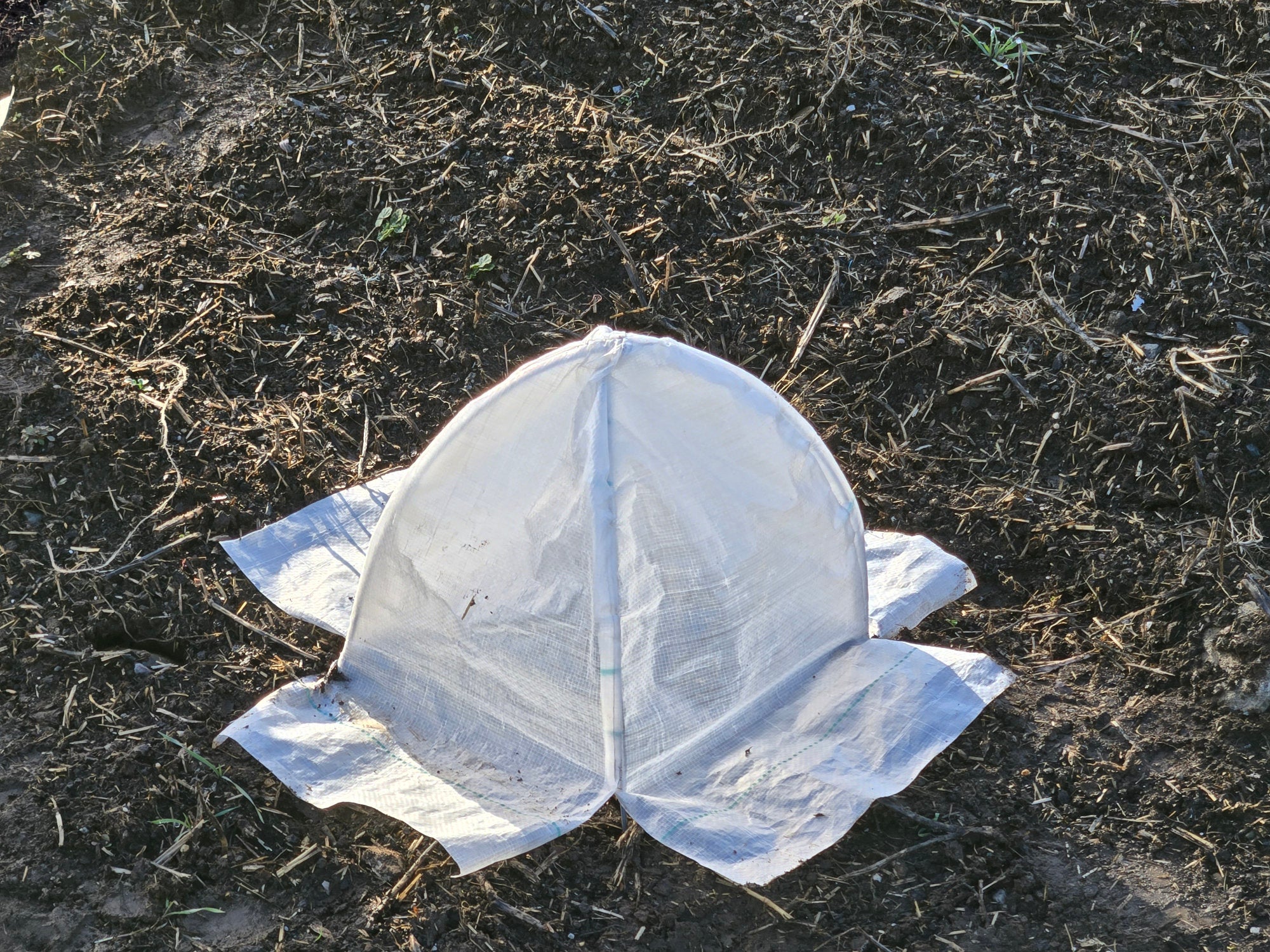 Small Heat Dome
