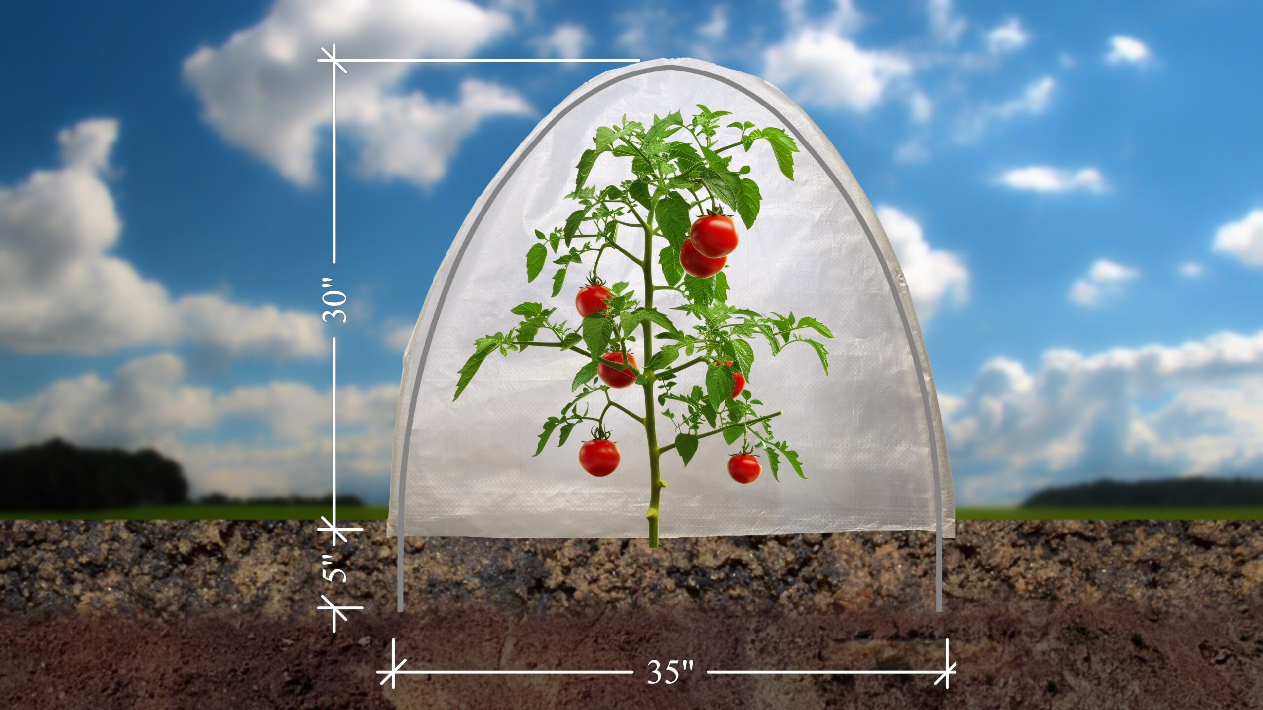Large Heat Dome