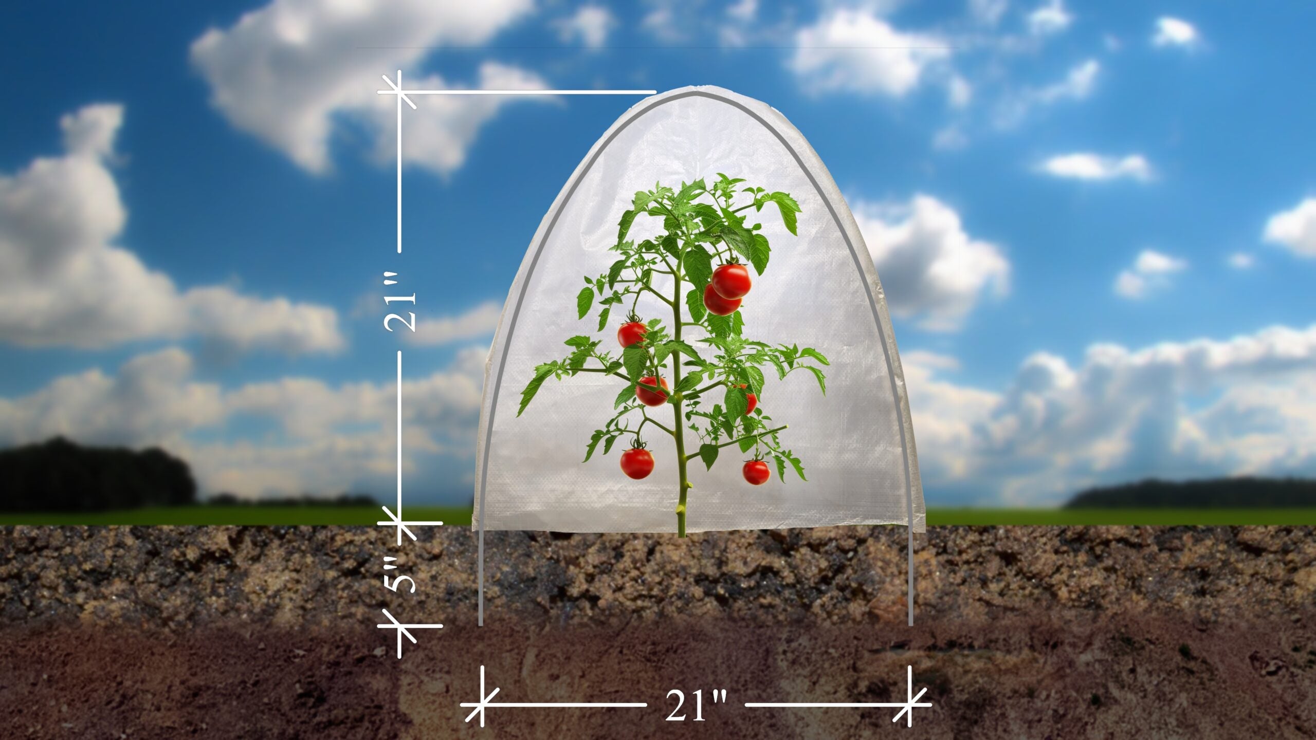 Medium Heat Dome (3 per pack)