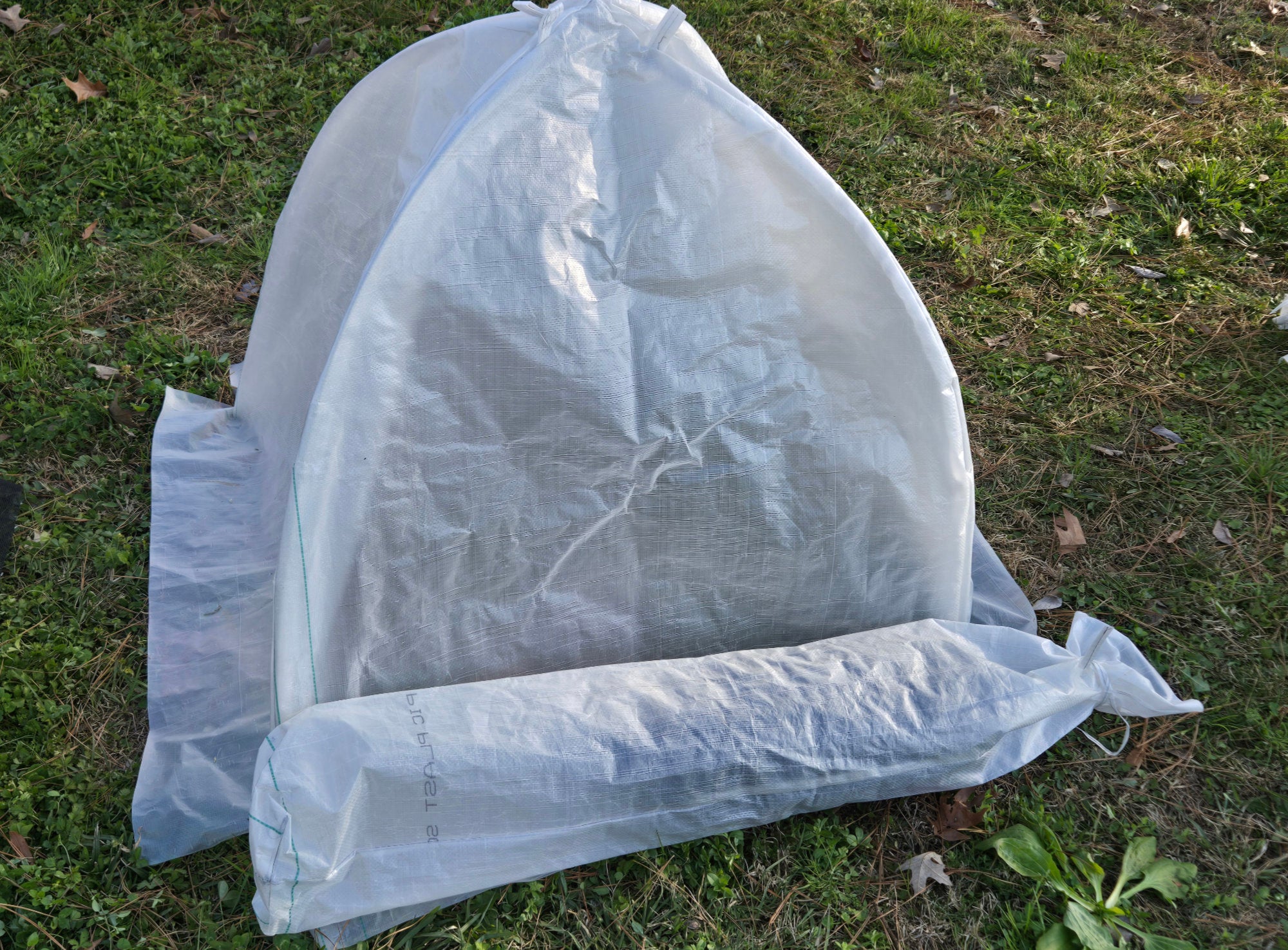 Large Heat Dome